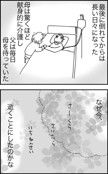ちくわの穴から星☆を見た ＊4コマ-さくら１