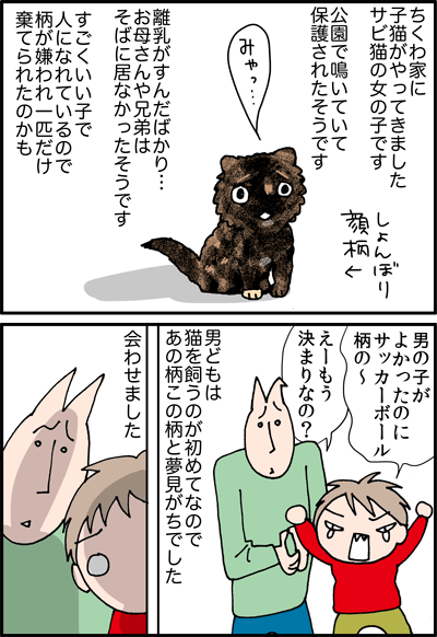 ちくわの穴から星☆を見た *4コマ-ねこ1