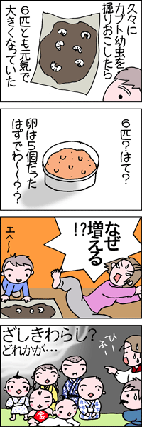 かぶと