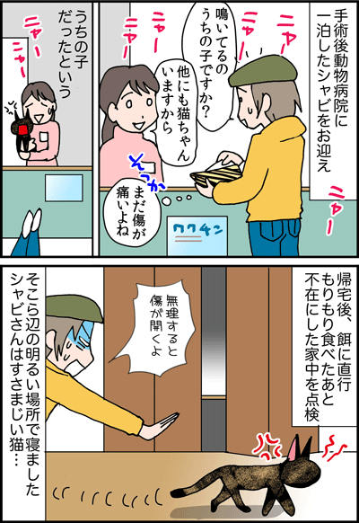 ちくわの穴から星☆を見た *4コマ-猫避妊手術2