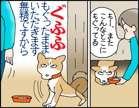 ちくわの穴から星☆を見た ＊子育て4コマ-ペペ変更2