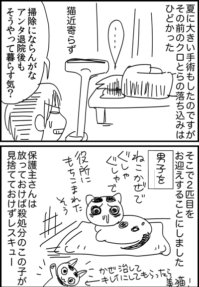 ちくわの穴から星☆を見た *4コマ-クロ3
