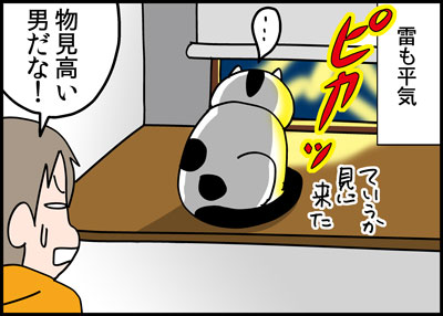 2_8katuo3