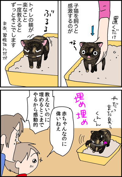 ちくわの穴から星☆を見た ＊4コマ-猫トイレ