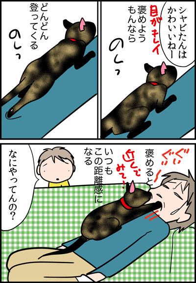 シャビ２