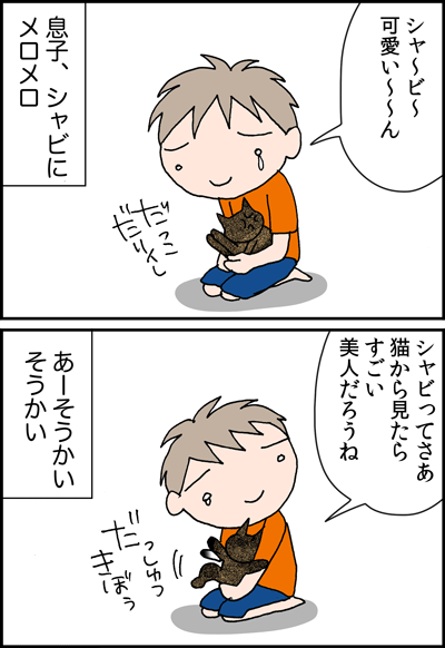 ちくわの穴から星☆を見た *4コマ-美猫1