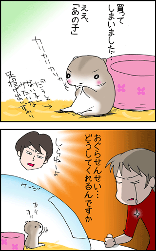 ちくわの穴から星☆を見た ＊4コマ-ハムスター1