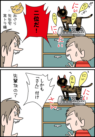 ちくわの穴から星☆を見た *4コマ-電話2