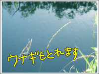 マップ3