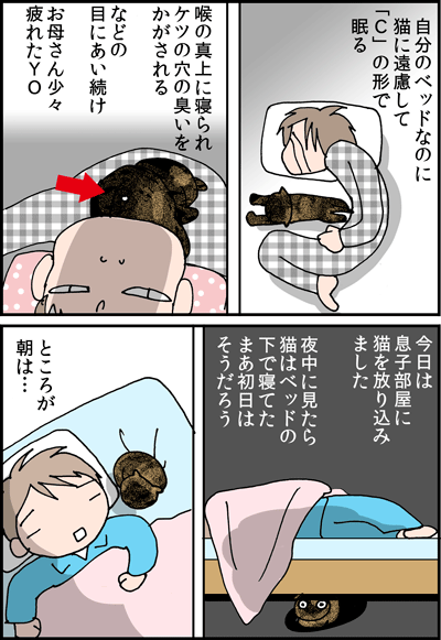 ちくわの穴から星☆を見た *4コマ-添い寝1