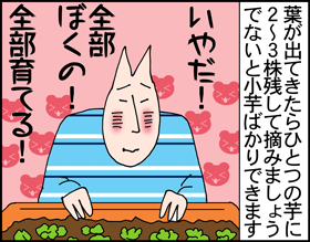 ちくわの穴から星☆を見た ＊4コマ-ガーデニング3