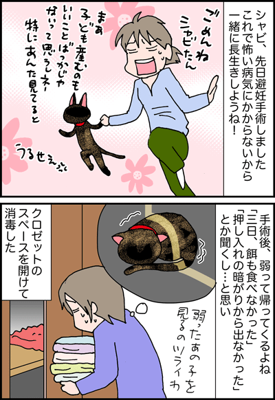 ちくわの穴から星☆を見た *4コマ-猫避妊手術1