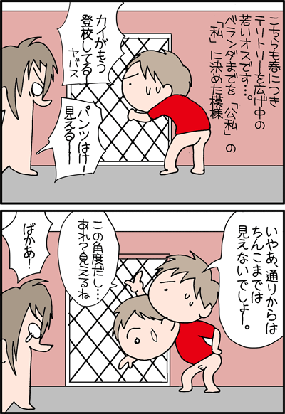 ちくわの穴から星☆を見た *4コマ-テリトリー3