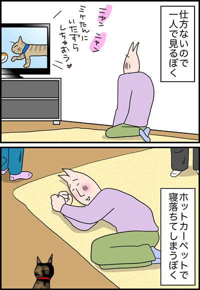 ちくわの穴から星☆を見た *4コマ-ビデオ2