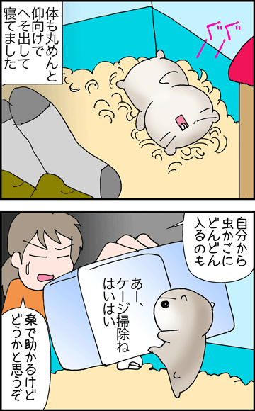 ちくわの穴から星☆を見た ＊4コマ-日々のハムトさん２