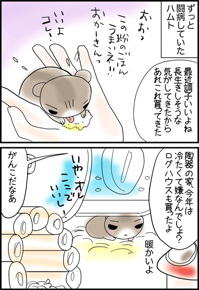 ちくわの穴から星☆を見た *4コマ-ハムト1