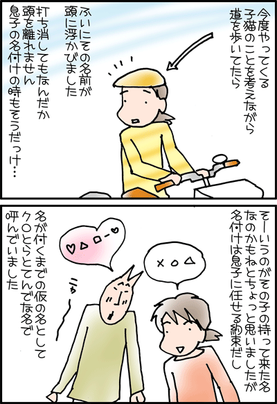 ちくわの穴から星☆を見た *4コマ-なづけ1