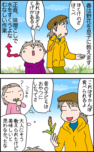 ちくわの穴から星☆を見た ＊4コマ-野の花１