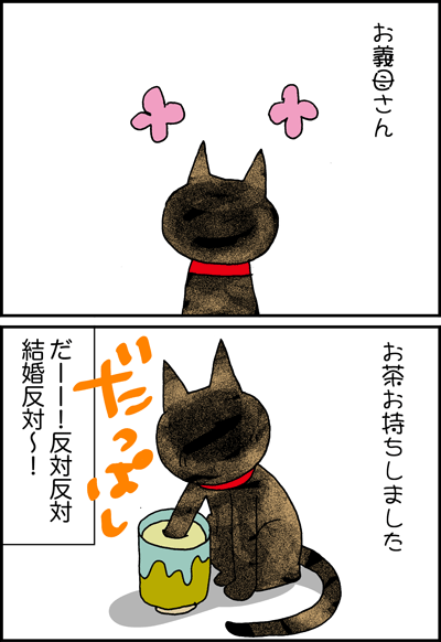 ちくわの穴から星☆を見た *4コマ-美猫3