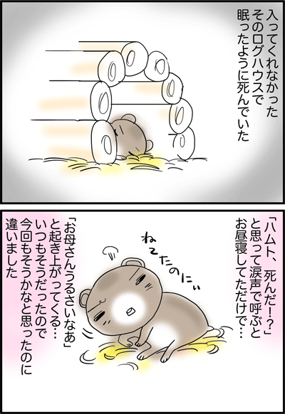 ちくわの穴から星☆を見た *4コマ-ハムト2