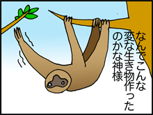 8-1