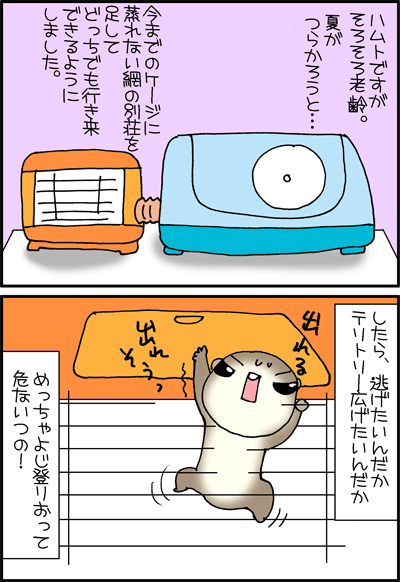 ちくわの穴から星☆を見た *4コマ-テリトリー1