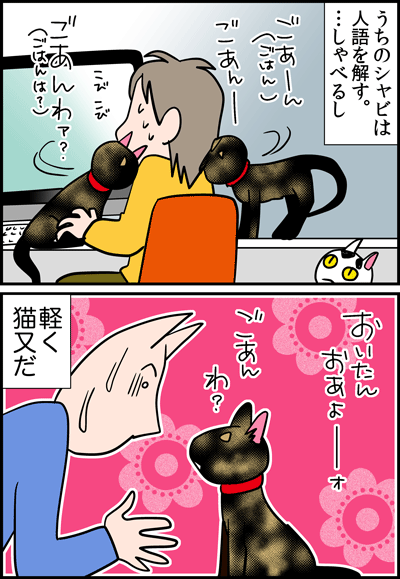 シャビ１