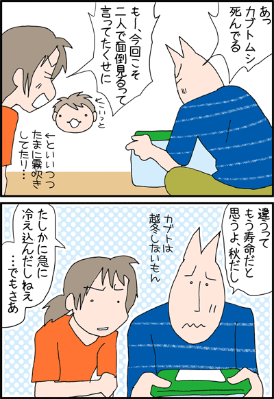 ちくわの穴から星☆を見た *4コマ-カブト1