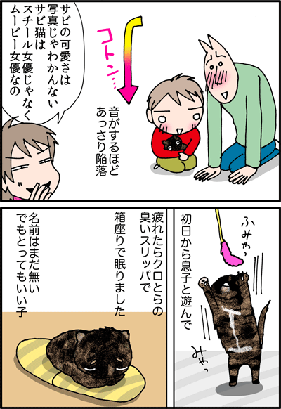 ちくわの穴から星☆を見た *4コマ-ねこ2