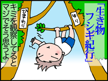 8-4