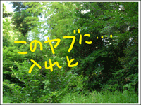 マップ14