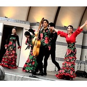 flamenco フラメンコ Los Topos
