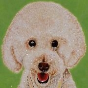 トイプードル 白 タイル アート