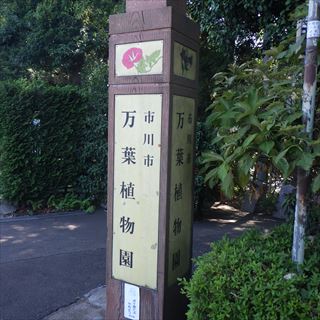 118