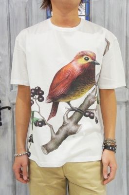 03281706_5153f9f5b3e3b