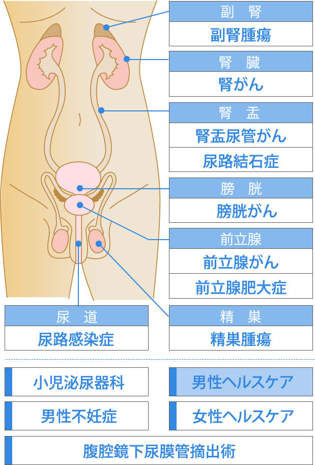 ａｄガールの夢