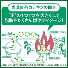 この食品が危ないランキングTOP12　高濃度茶カテキン　納豆　コンビニやスーパーのサラダなど