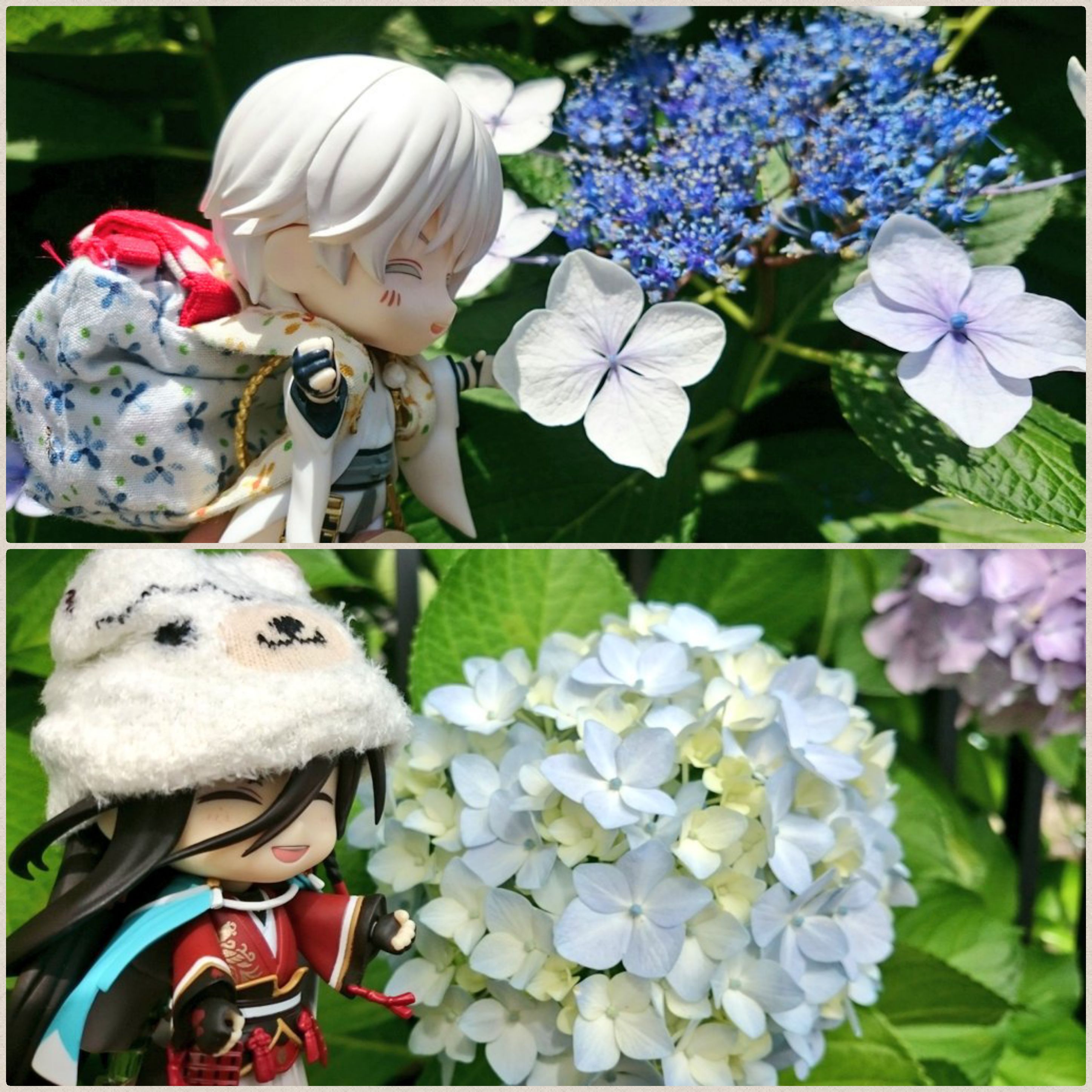 ねんどろいど刀剣乱舞,男士,和泉守兼定,鶴丸,野外撮影,あじさい,花
