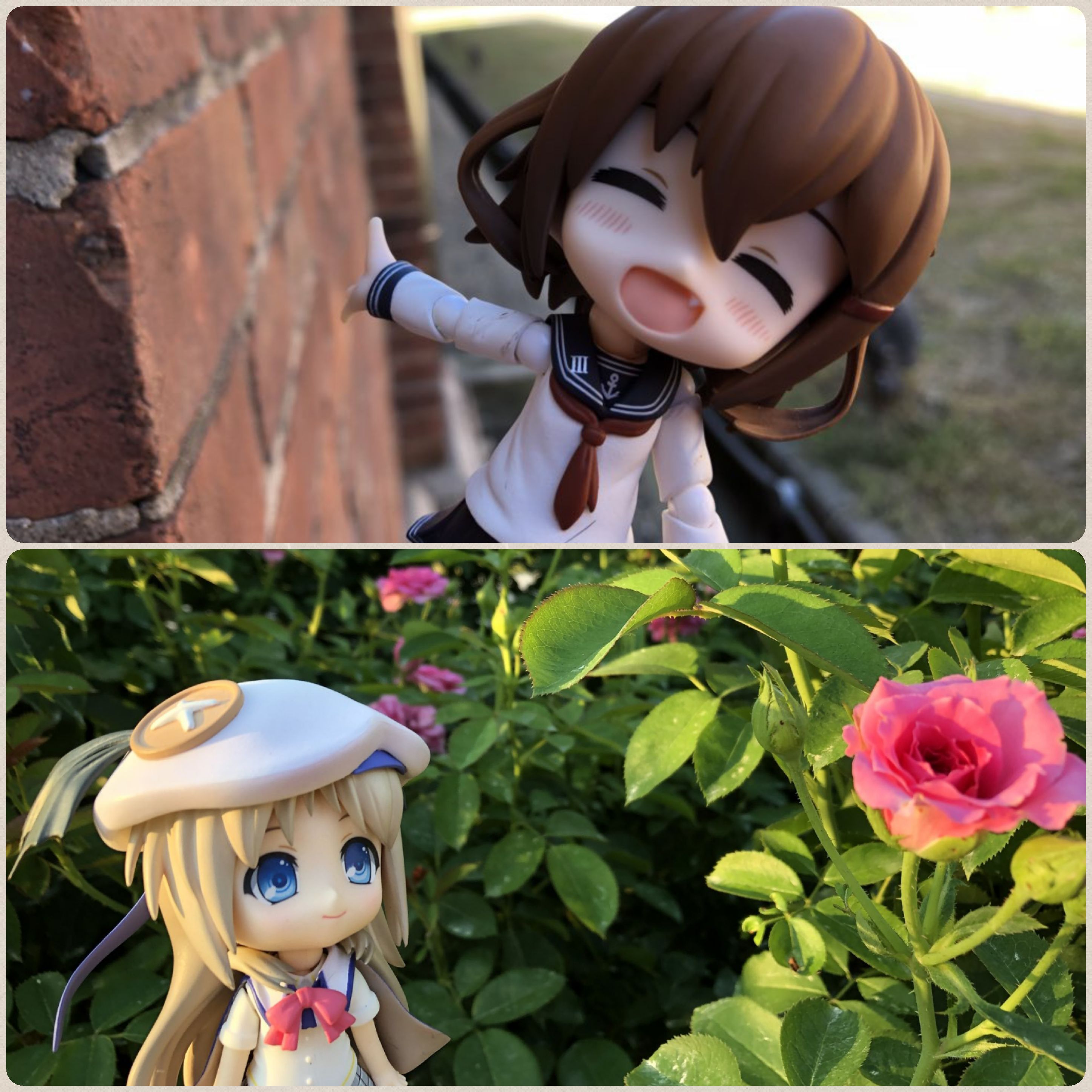 キューッポッシュ,ねんどろいど,お花畑,綺麗な花とドール,可愛らしい