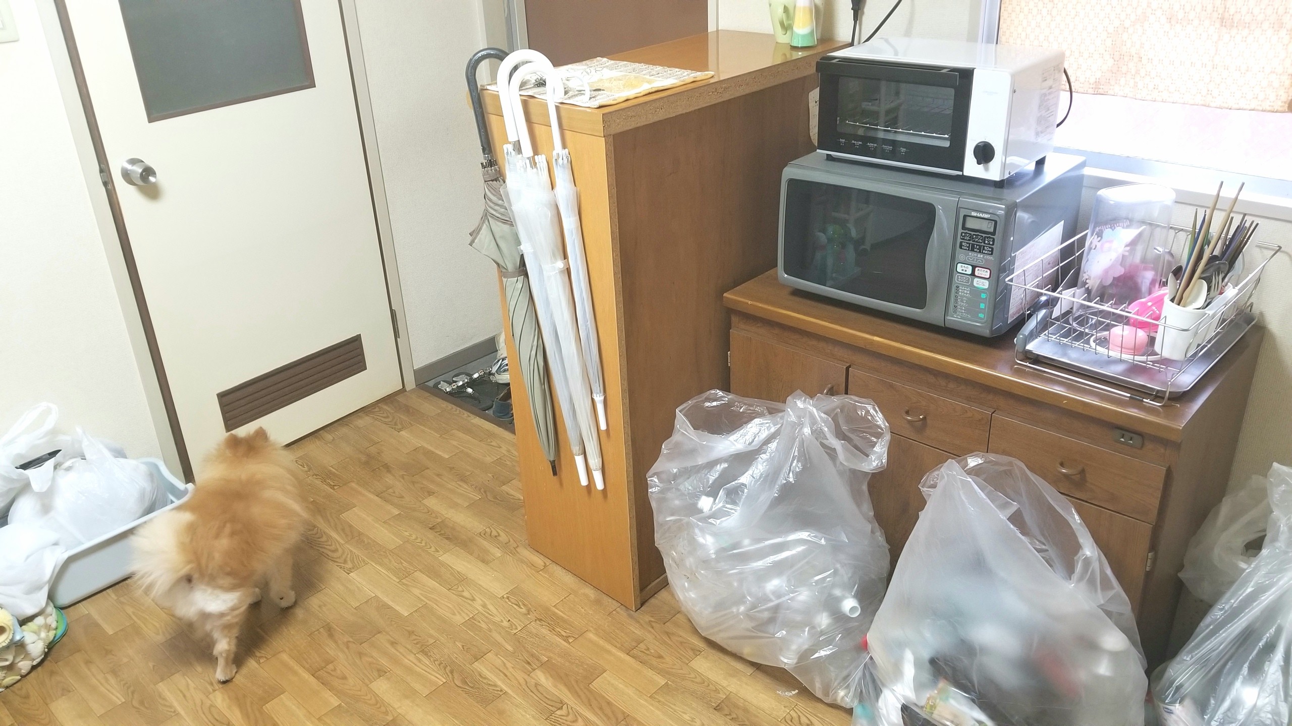 キッチン,部屋掃除,綺麗になる,ゴミ箱分別,賃貸,レンジ台,7畳,床