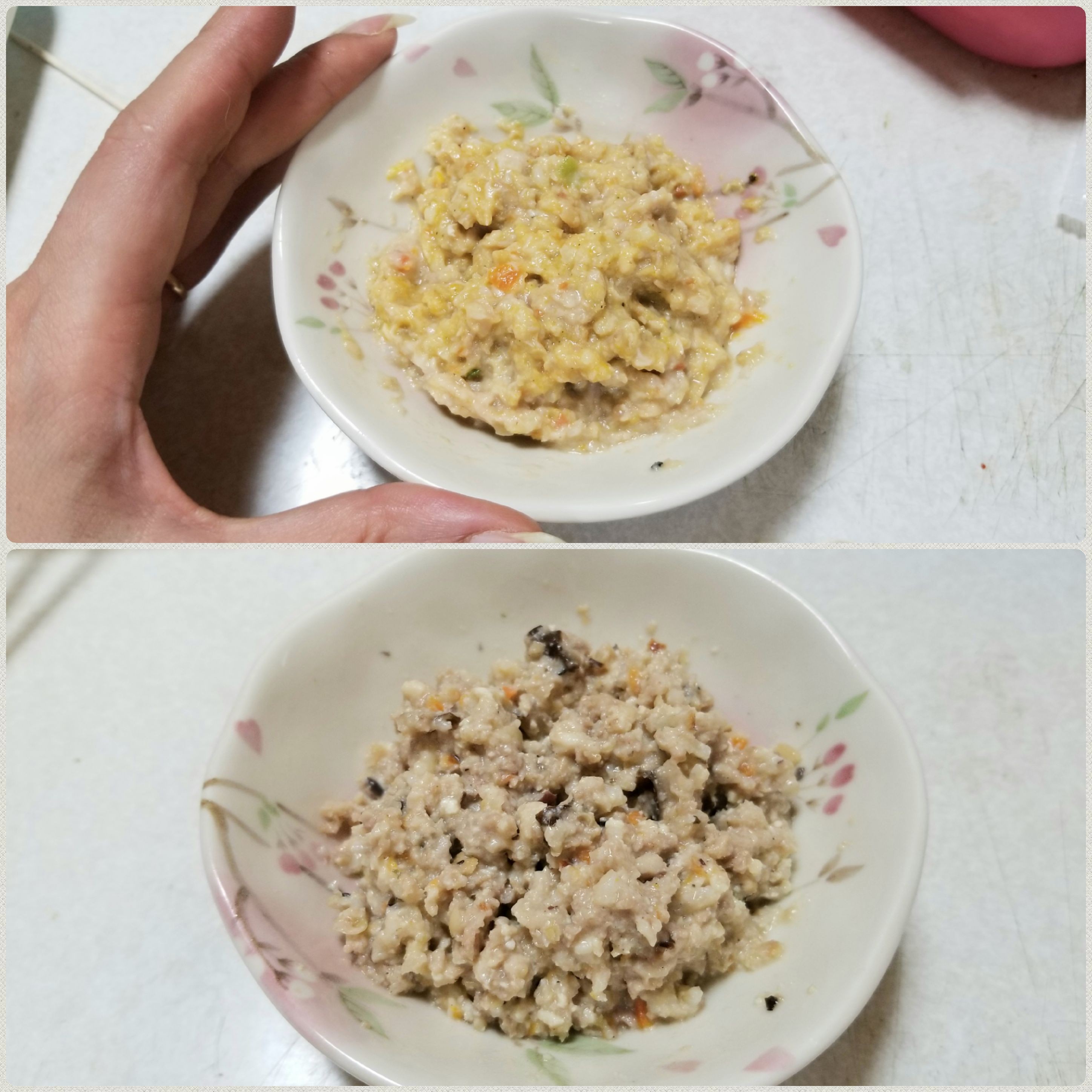ペットと一緒に老犬と過ごす日常病気食欲不振低下ご飯何をあげるか