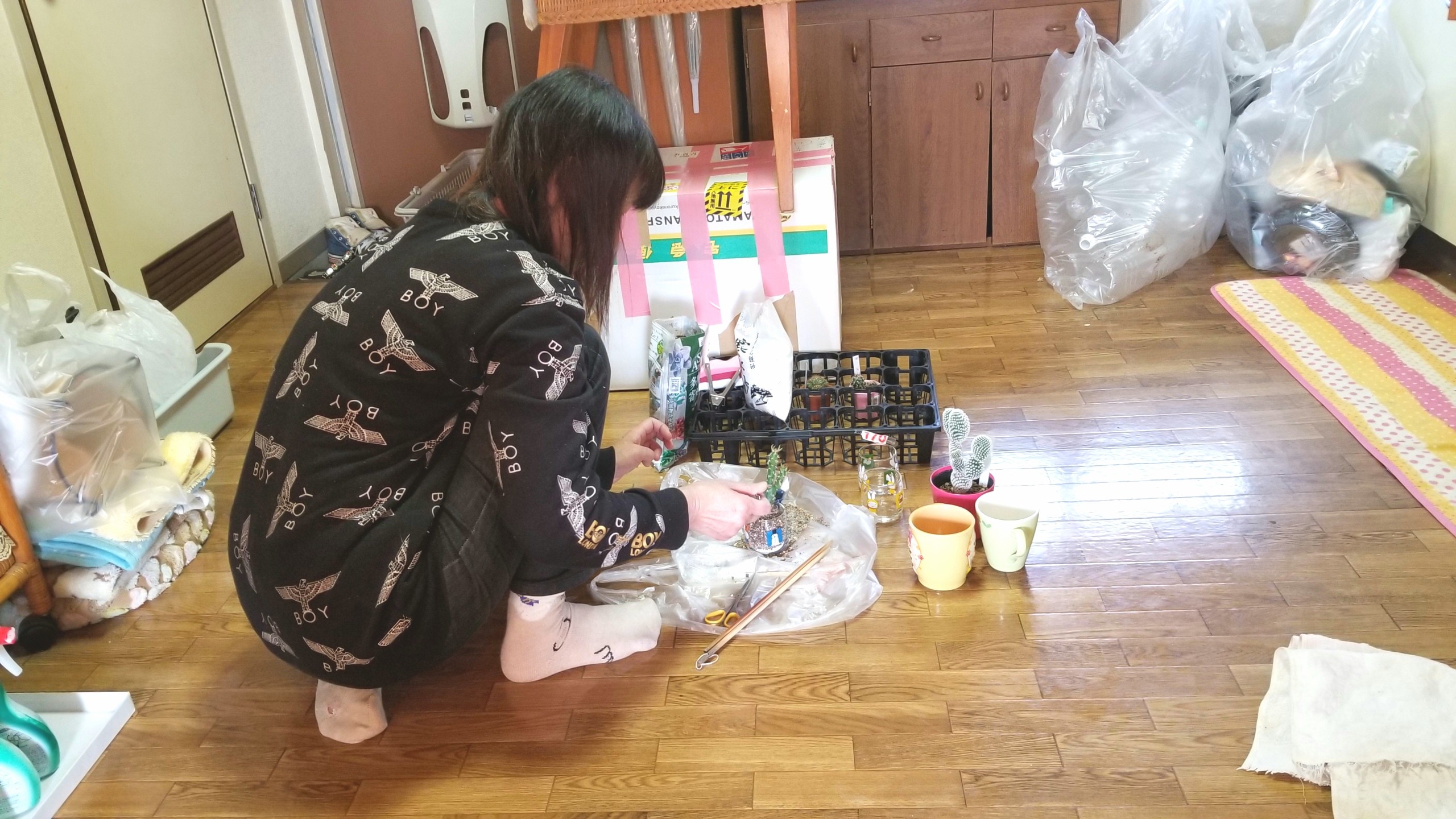 植木鉢植え替え,小さいサボテン,食器サイズ,植え方,小さめ,リメイク