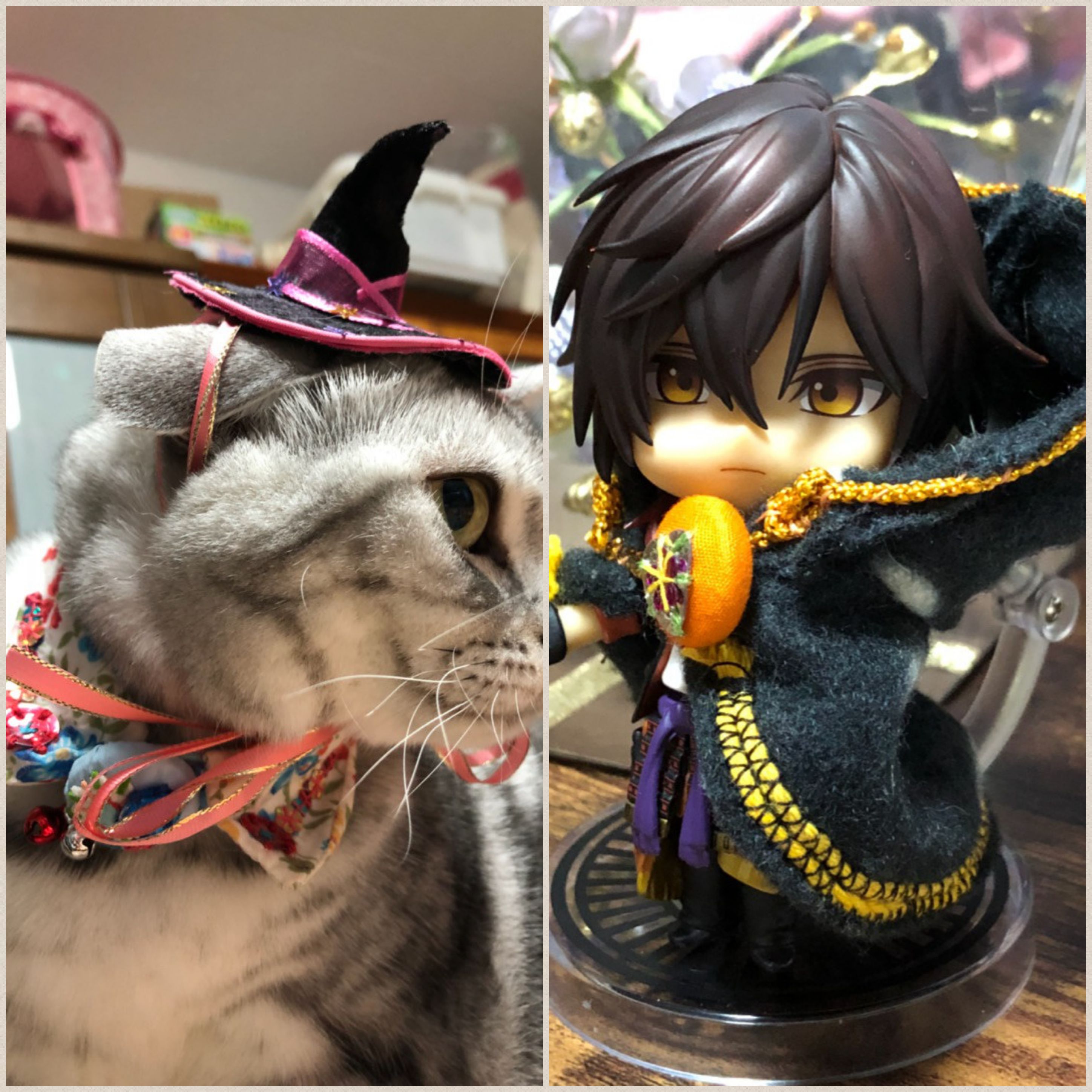 ねこ,にゃんこ,ドール,ねんどろいど,遊び方,かわいい,記念撮影