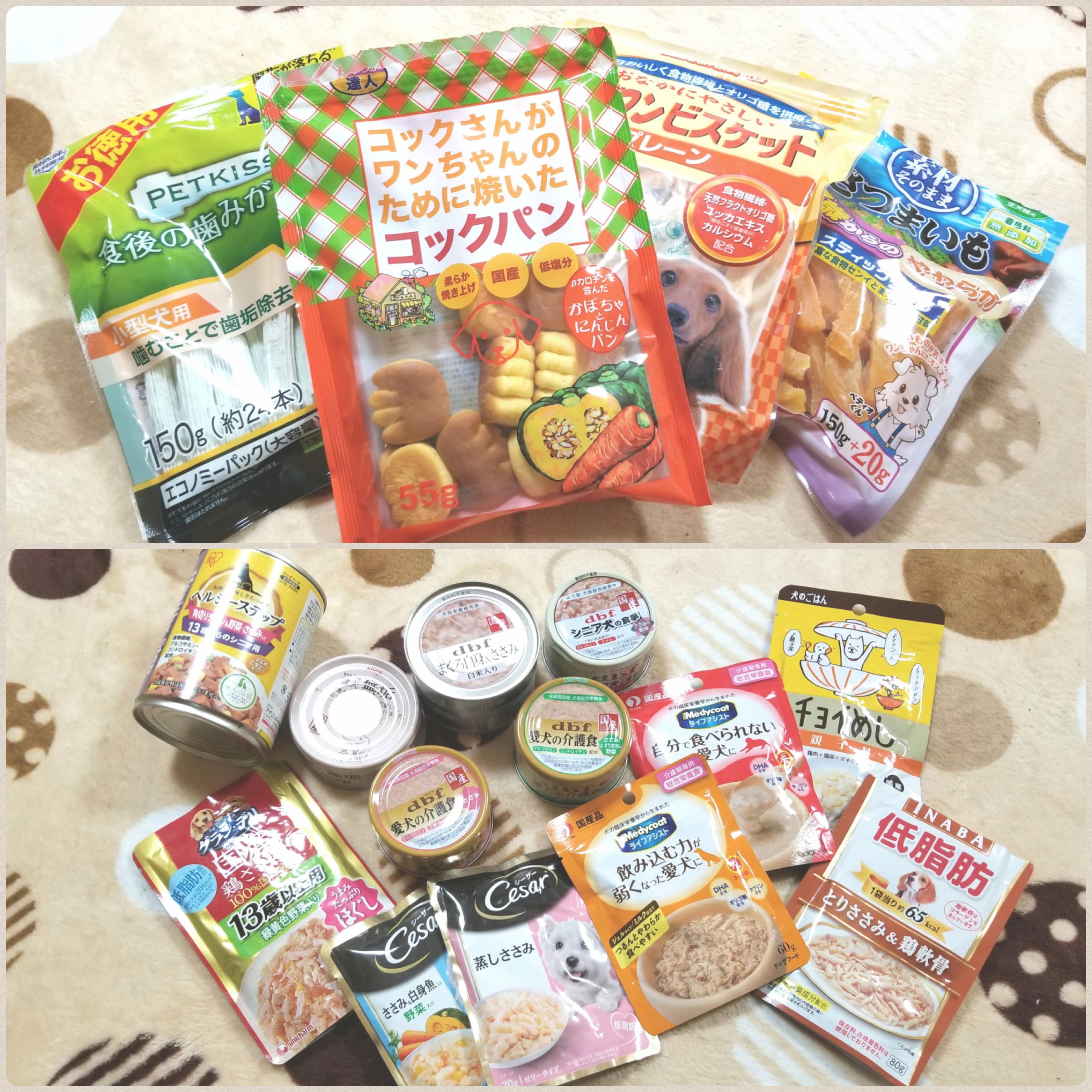 犬ペットご飯を食べない様子がおかしいドッグフード缶詰めペースト