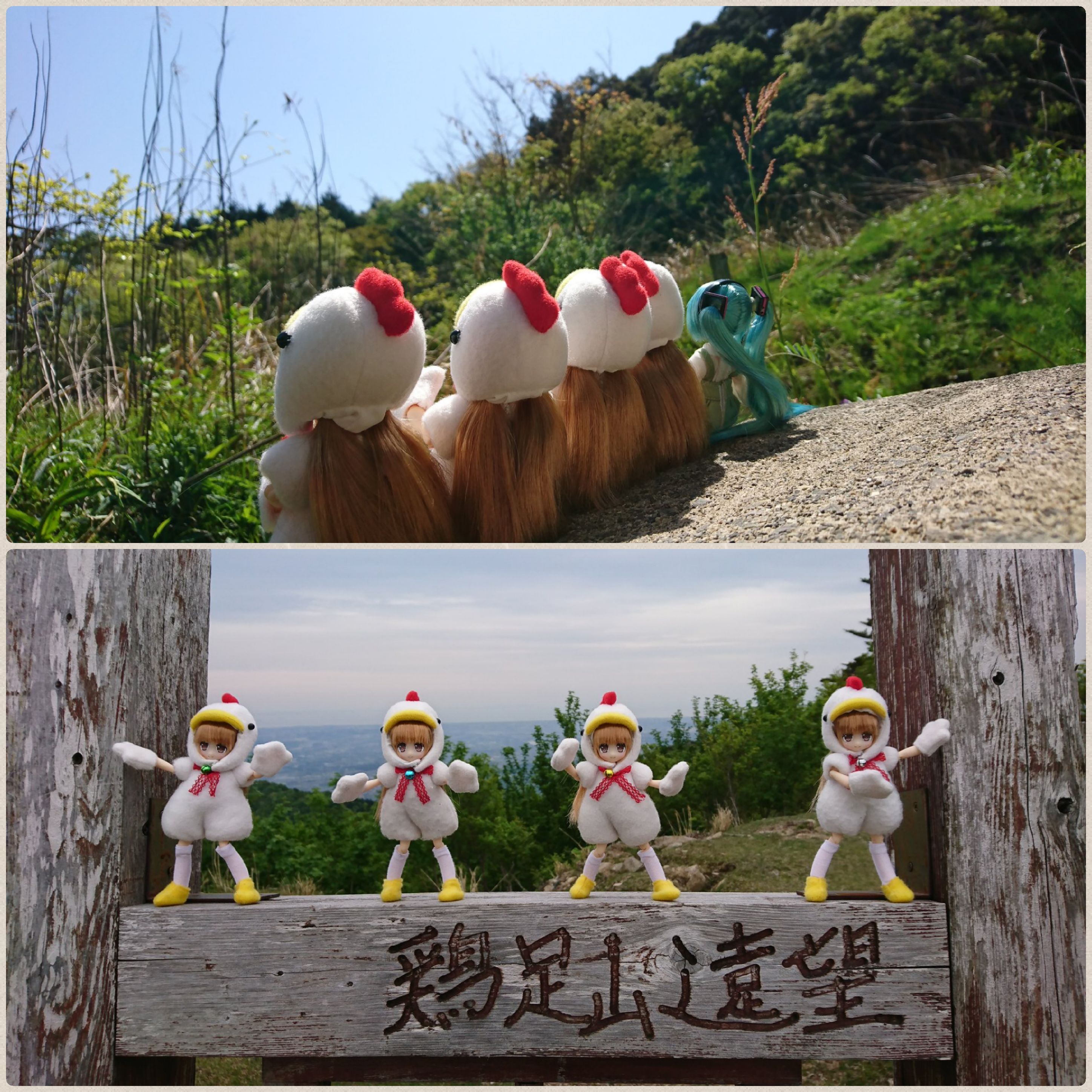 アゾンのネイリー,Lilfary,可愛いドール,トリトリ隊,鶏達の探検,冒険