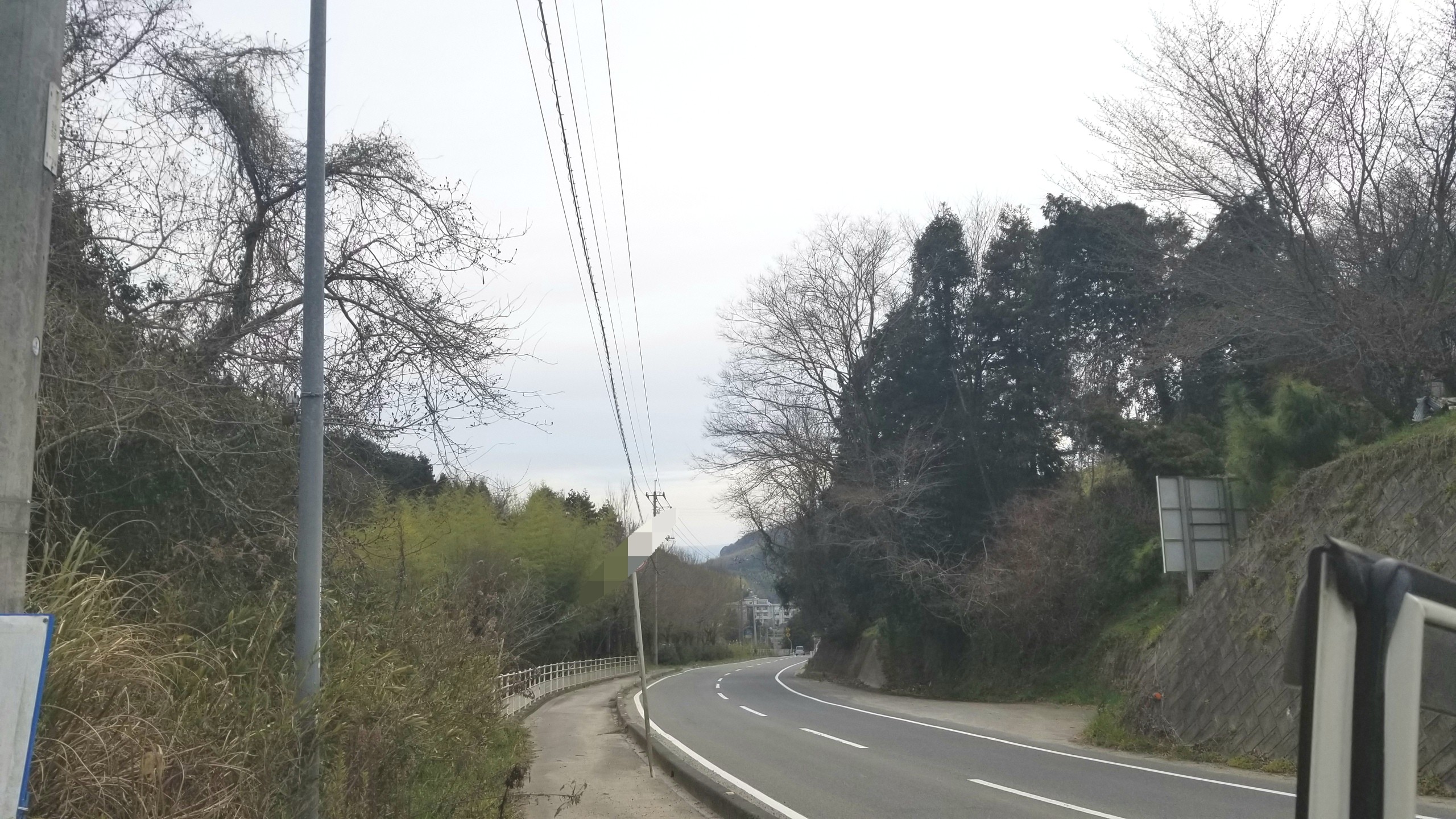 つくし松山,土筆採りに山行った,楽しかった,毎年わくわく,楽しみ