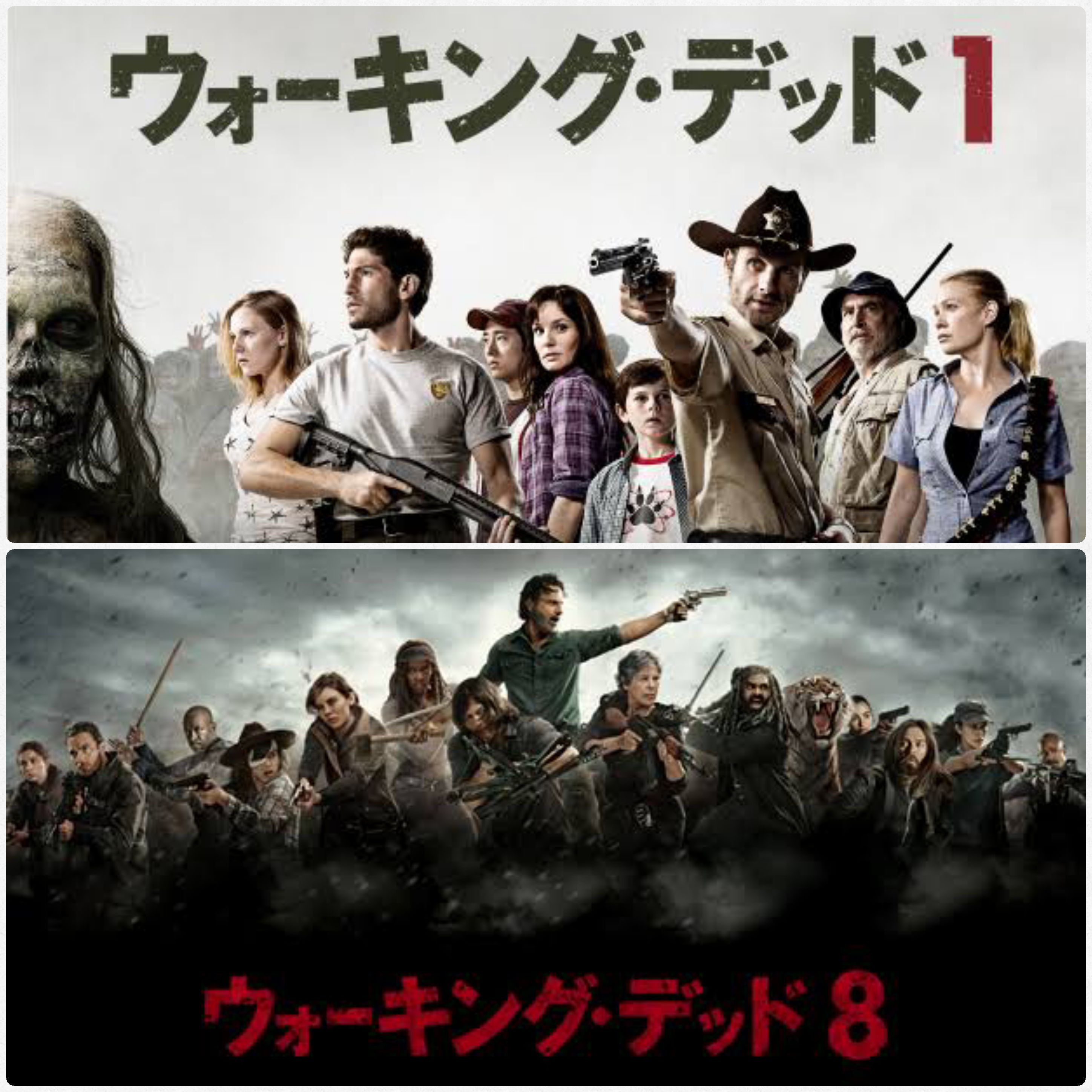 海外ドラマ,ウォーキングデッド,お薦め映画,ノーマン,超ハマる