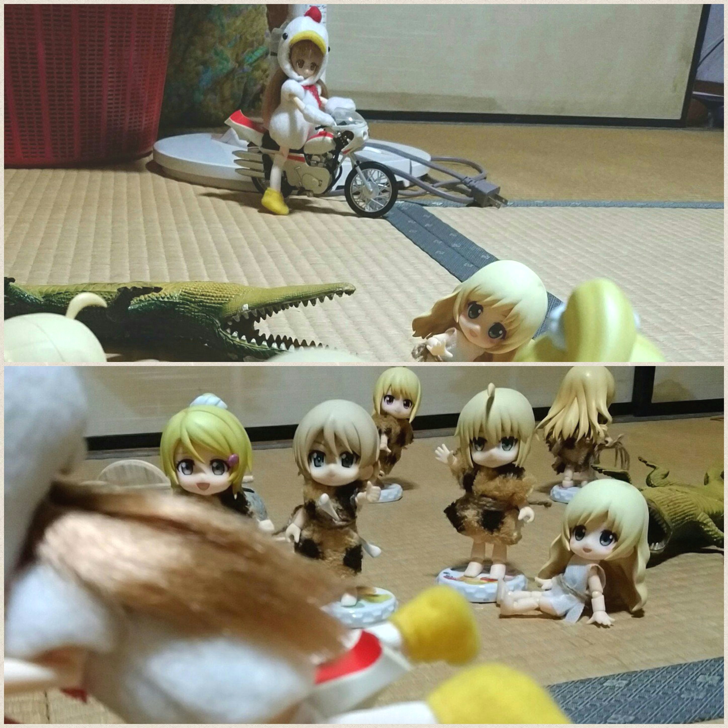 セイバー,ダージリン,アリス,可愛いキューポッシュ,ドール遊び,撮影