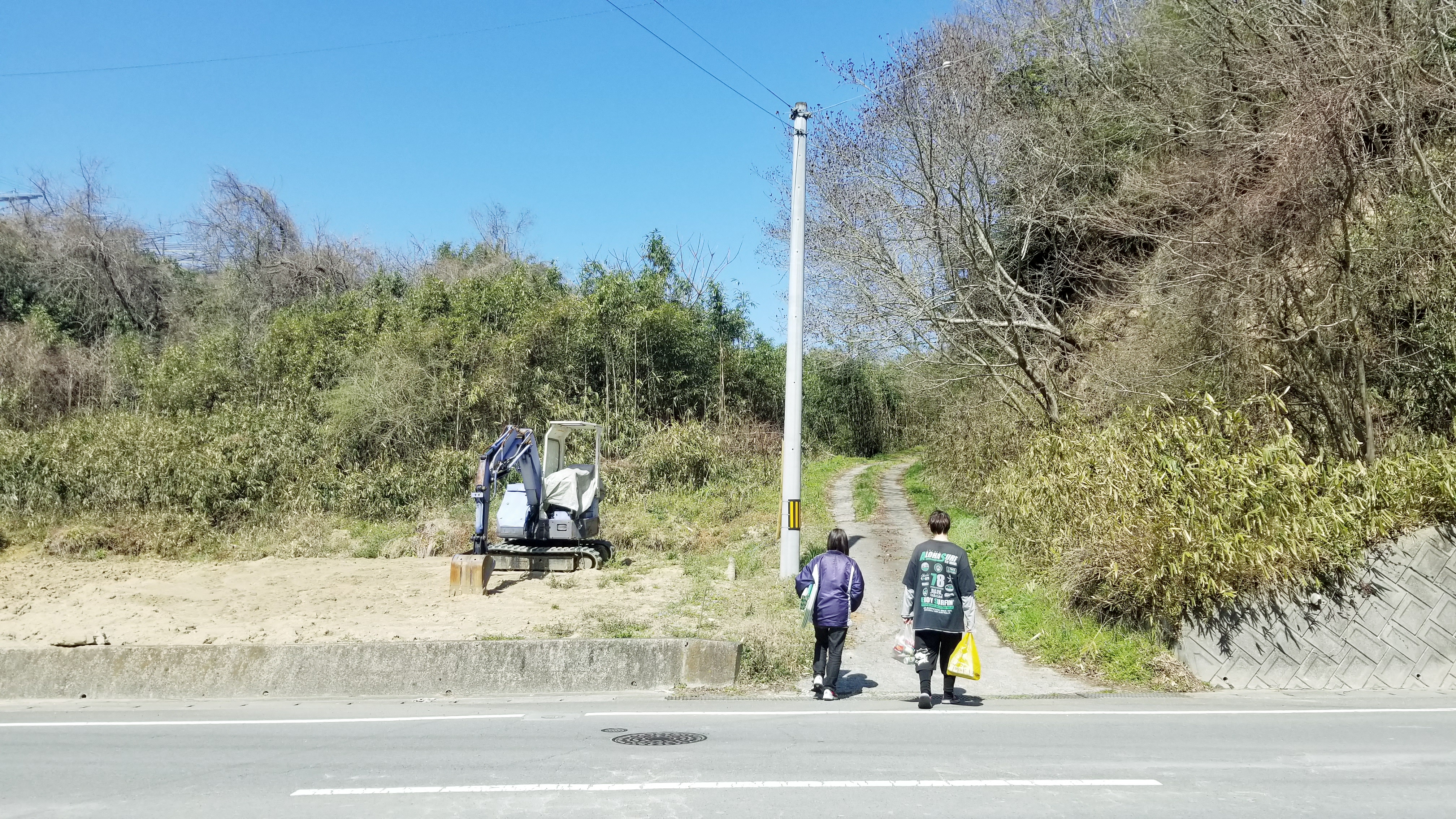 つくし採り時期シーズンスポット穴場愛媛県四国場所季節どこ情報