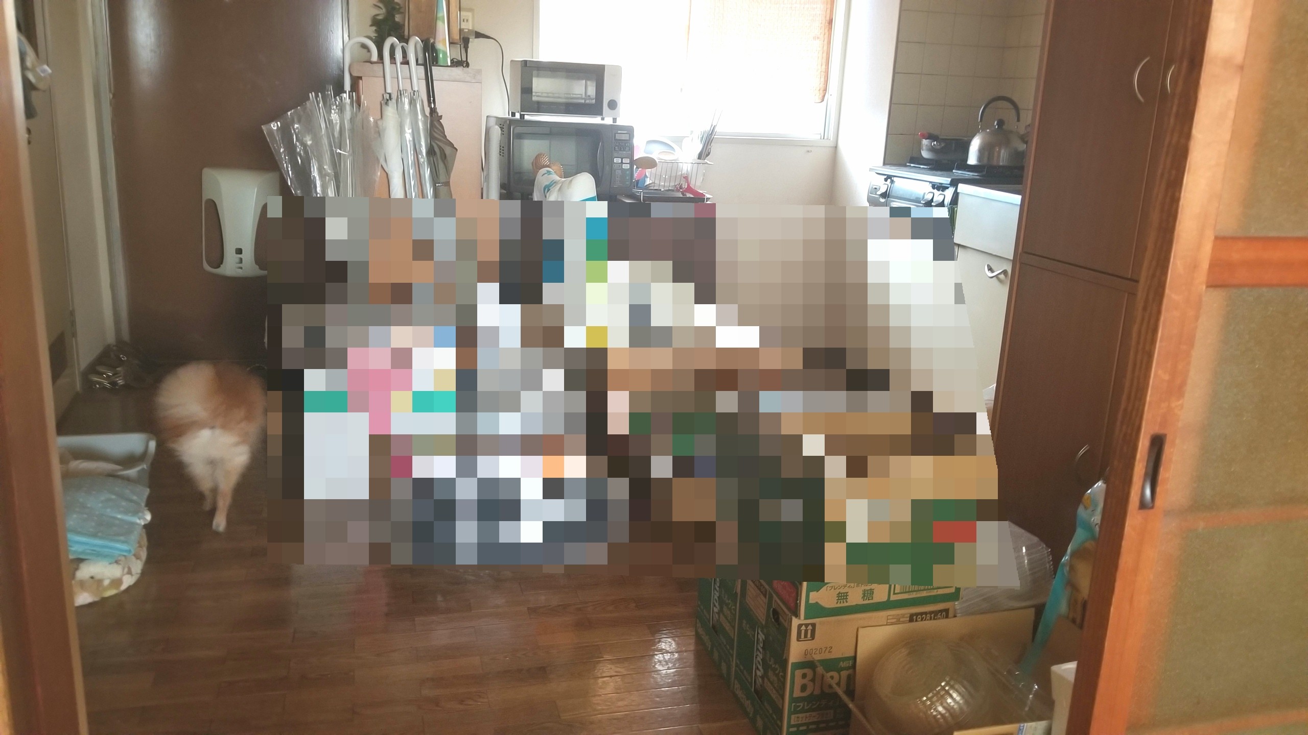 キッチン大掃除,便利グッズアイテム,汚部屋,いつからいつまで?